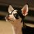 JonnyMono :iconjonnymono: