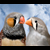 joscat :iconjoscat:
