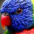 JoshCrawford :iconjoshcrawford: