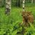 JOSHUACRIDDLE :iconjoshuacriddle: