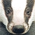 Judah-Leonardo :iconjudah-leonardo: