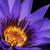 JustSomeRandomDude12 :iconjustsomerandomdude12: