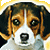 DeviantArt profile picture for @K9Club on DeviantArt