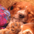Kaddy7 :iconkaddy7: