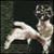 kami-no-niwa :iconkami-no-niwa: