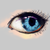 Kamria :iconkamria: