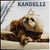 KandeL15 :iconkandel15: