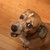 KangarooJellyfish :iconkangaroojellyfish: