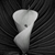 Karaakai :iconkaraakai: