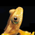 Karasunaki :iconkarasunaki: