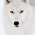 KardoWolf :iconkardowolf: