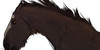 Karelian-Snow-Horse's avatar