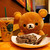 kate32529 :iconkate32529: