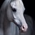 Katha88 :iconkatha88: