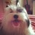 katherinereyes :iconkatherinereyes: