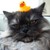 katopz :iconkatopz: