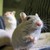 kavu55 :iconkavu55: