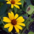 kaylaw16 :iconkaylaw16: