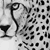 KaytanaPhoenix :iconkaytanaphoenix: