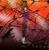 Kayuri-Prime :iconkayuri-prime: