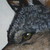 kching23432 :iconkching23432: