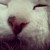 KellBell92 :iconkellbell92: