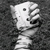 KelseyMae :iconkelseymae:
