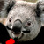Khoawaii :iconkhoawaii: