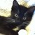 Kiira-Kat :iconkiira-kat: