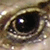 Killerworm51 :iconkillerworm51: