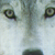 Kimaria :iconkimaria:
