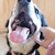 Kimisu-With-Candy :iconkimisu-with-candy: