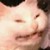 KinqKilljoy :iconkinqkilljoy: