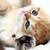 kirtzz :iconkirtzz: