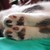 Kissemiss11 :iconkissemiss11: