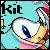 kit-the-hedgehog :iconkit-the-hedgehog:
