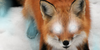 Kitsune-Spirits's avatar