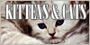 Kittens-and-Cats's avatar