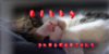 Kitty-photography's avatar