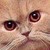 Kitty1231996 :iconkitty1231996: