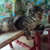 kitty678 :iconkitty678:
