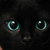 kittycat-mew :iconkittycat-mew: