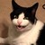 kittymk9 :iconkittymk9: