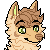 :iconkiwi-rainwing: