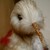KiwiCave :iconkiwicave: