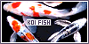 Koi-Fish-Love's avatar