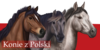 Konie-z-Polski's avatar
