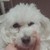 kookbunn :iconkookbunn:
