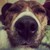 kooshball88 :iconkooshball88:
