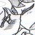 KouInu-Yaoi-Club :iconkouinu-yaoi-club: